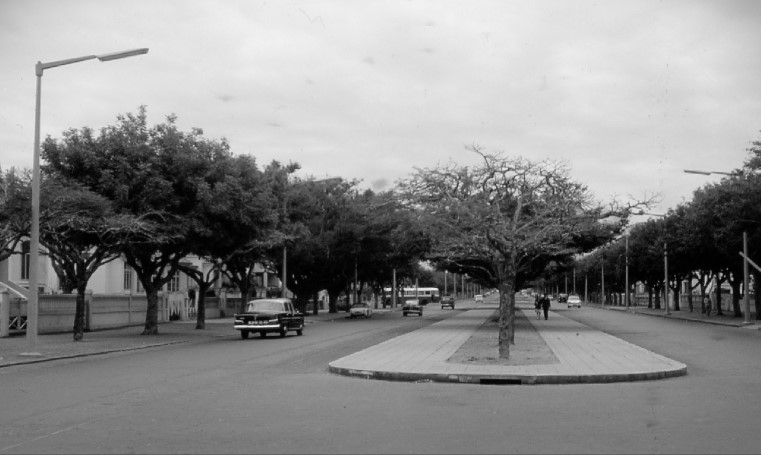 Uma Avenida Emblemática